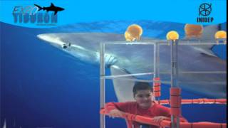 DIA 3 Expo Tiburon35