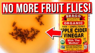 11 BEST Ways To Permanently GET RID Of Fruit Flies Naturally!