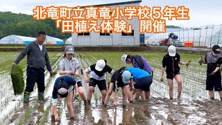 Học sinh lớp 5 trường Tiểu học Shinryu, thị trấn Hokuryu: "Trải nghiệm trồng lúa" Tìm hiểu về tầm quan trọng và khó khăn của việc trồng lúa dưới sự hướng dẫn của giáo viên nông nghiệp Akimitsu Takada! - YouTube