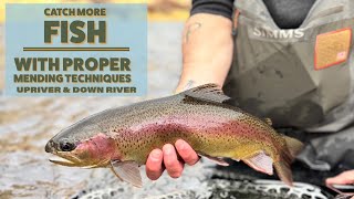 Why Your Flies Get Ignored - Mend Your Way to More Fish