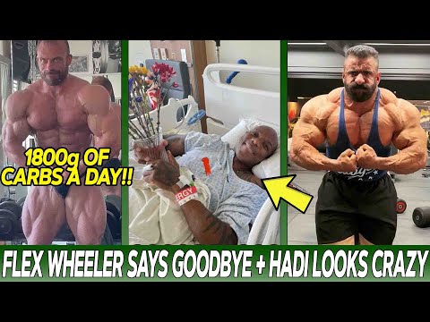 Flex Wheeler Says GOODBYE!? + Hadi Choopan Looks Insane! + Roman Fritz Eats 1800g Of Carbs Per Day!
