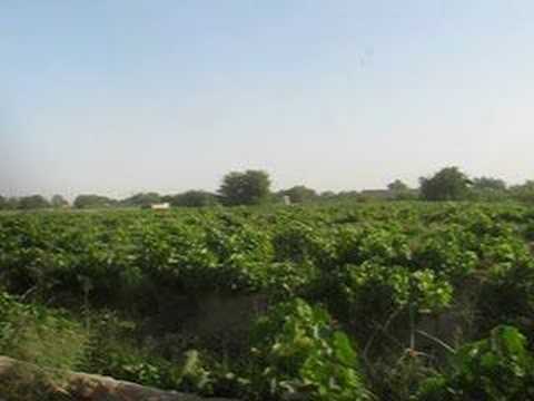A-10  Warthog Strafing Run on a Taliban Position With Tom Hanks Directing the Assault.