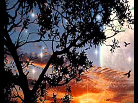 DESIDERATA - ENGLISH