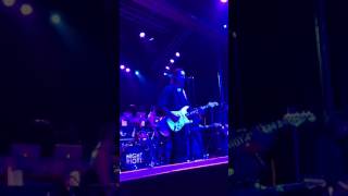 Night Riots- Holsters