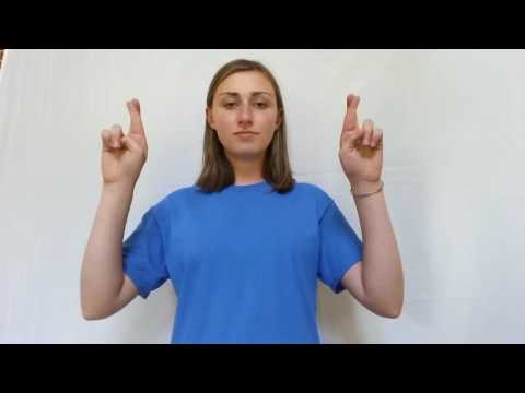 Sign Language for I Think You're Wonderful
