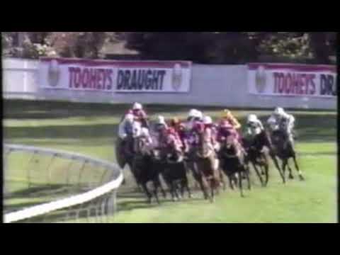 1991 The Galaxy - Mr Tiz