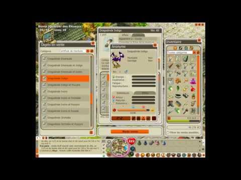 comment augmenter l'amour d'une dragodinde