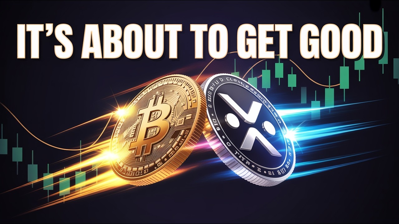 A NEW Bitcoin Buy Signal Just Appeared We Just Got A MAJOR IMF Report Listing XRP Usage