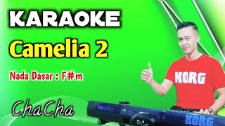 Download lagu KARAOKE CAMELIA2 - EBIET G - VERSI MUSIK CHACHA mp3