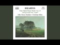 IV. Rondo (Poco allegretto e grazioso)