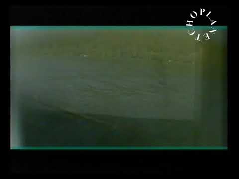 Томи Чинчири/Tomi Chinchiri/ Ей капитане