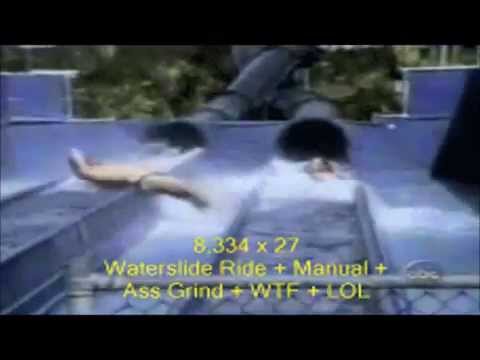 People/animals getting rekt