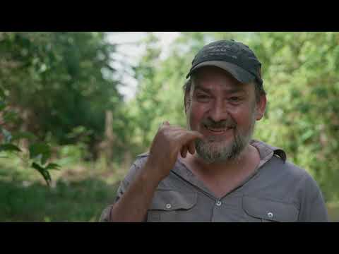 Terra preta [T02E01]