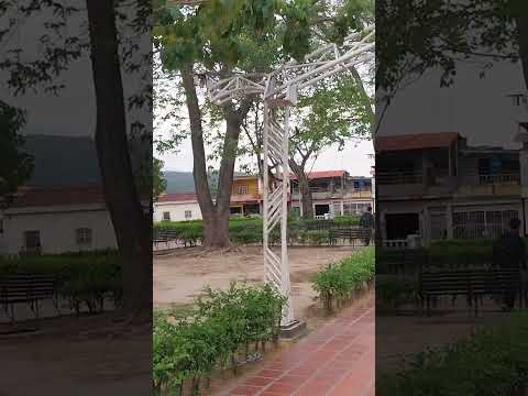 Los Malandros de la Plaza de Sabana de Mendoza #venezuela #Trujillo #Sucre