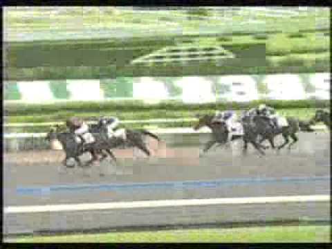 Eishin Dunkirk - Races in Japan