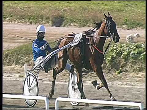 Trotto 12/03/2017 - 2ª corsa