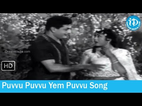 Sabhash Suri Movie Songs - Puvvu Puvvu Yem Puvvu Song - NTR - Krishna Kumari