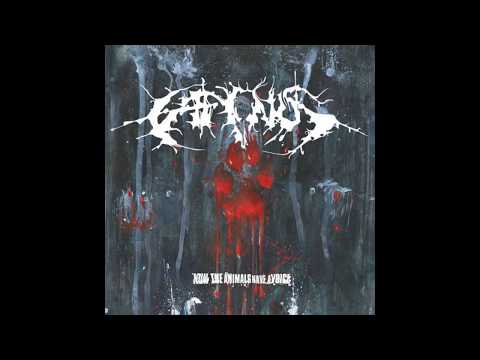 Caninus - Locking Jaws