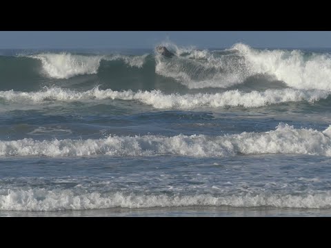 Huntington Beach, CA, 3/6/2021 AM - Part 4