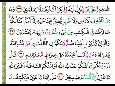 𝐭𝐢𝐥𝐚𝐰𝐚𝐡 𝑄𝑆 Al-An’am (6) ayat 38-40