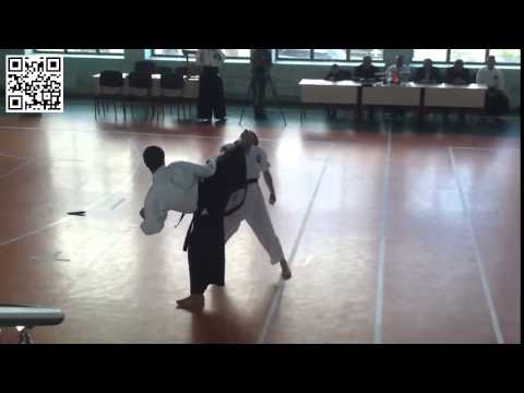 BUDO SHIN Artyom Asatryan