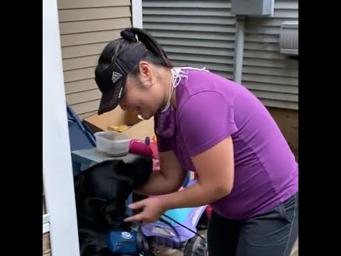 Tyanne's 2020 In Home Guide Dog Training Experience