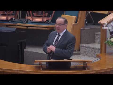 Ai sau nu ai fire pământească? - Doru Hnatiuc