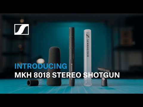 Sennheiser MKH 8018