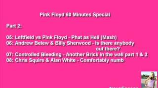Pink Floyd Special 2011 - Part 2