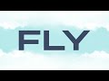 Fly 