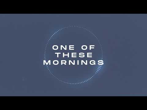 Thumbnail for Fly  video