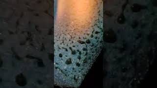 Burning sponge #satisfying #shorts #short