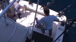 preview picture of video 'Sheboygan Wisconsin charter fishing for trout & salmon. June 2009, Sea Dog Sportfishing Charters'