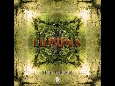 05 Filt - Frog'a'delic Forest Tribe