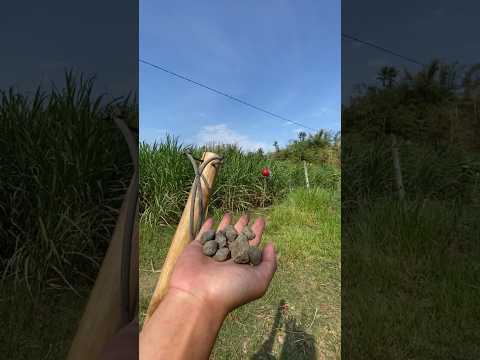 Diy Slingshot🔥best for hunting #craft #diy #handmade #amazing