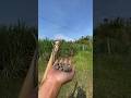 Diy Slingshot Best For Hunting Craft Diy Handmade Amazing
