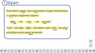 Eğitim Vadisi TYT Türkçe 3.Föy Sözcükte ve Söz Öbeklerinde Anlam 2 Konu Anlatım Videoları