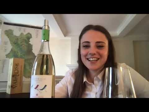 OUR TOUR OF TUSCANY with Giulia Cecchi of Famiglia Cecchi Winery || Table & Vine