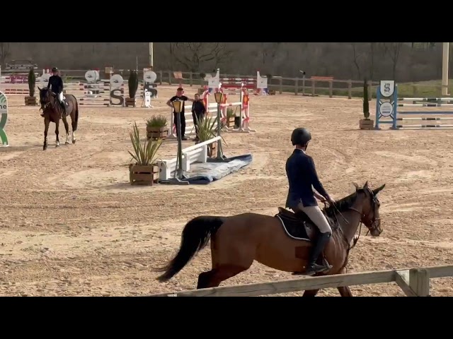 Jument 6 ans / belles origines / mod&egrave;le / respect 