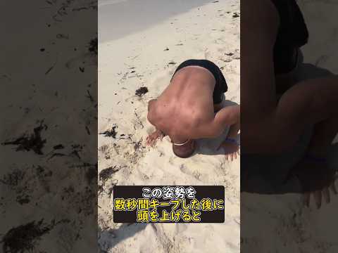 インスタントヘア