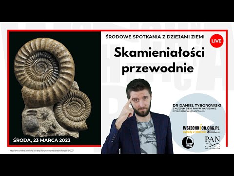Index Fossils / Dr. Daniel Tyborowski