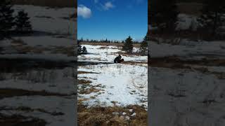 Xmr  mud just starting to thaw