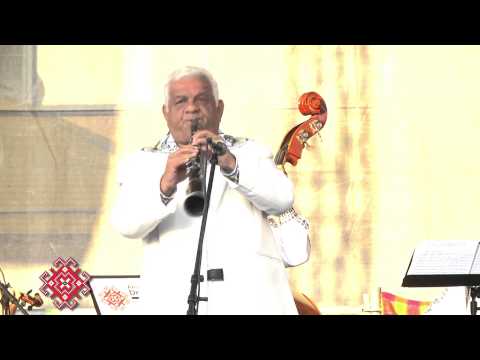 Dorel Sparios - taragot 4