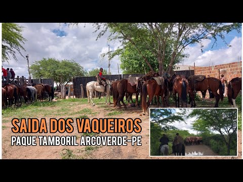 Liberação dos Vaqueiros - Parque Tamboril Arcoverde-PE. Música: Barraco de Zabé. Inacio Aboiador.