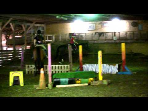 Saving Retired Thoroughbred Racehorses