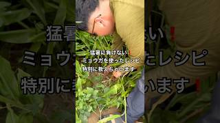 農家が教える簡単❗️夏バテ予防レシピ#農家 #農業 #夏バテ予防