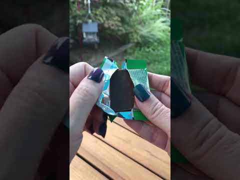 Ghirardelli Milk Chocolate Mint Cookie Squares! 🍫 #shorts #satisfyingvideo #asmr #candy