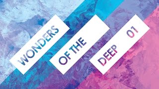 Wonders Of The Deep 01 with LOMER