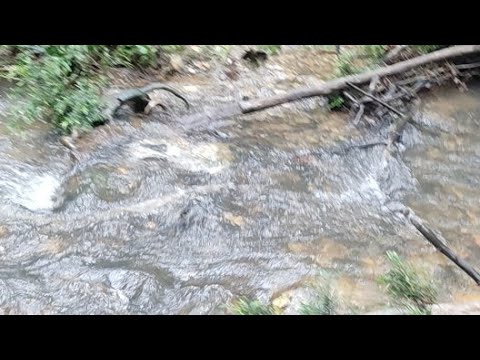 Domingo 2022 0626 - Bautismo - TRC 2022