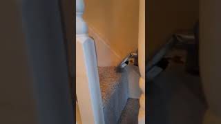 Hi All. This End of tenancy cleaning was a serious challenge. Of course, we solved it and our team proved their expertise again. The client was satisfied and very happy with the result.